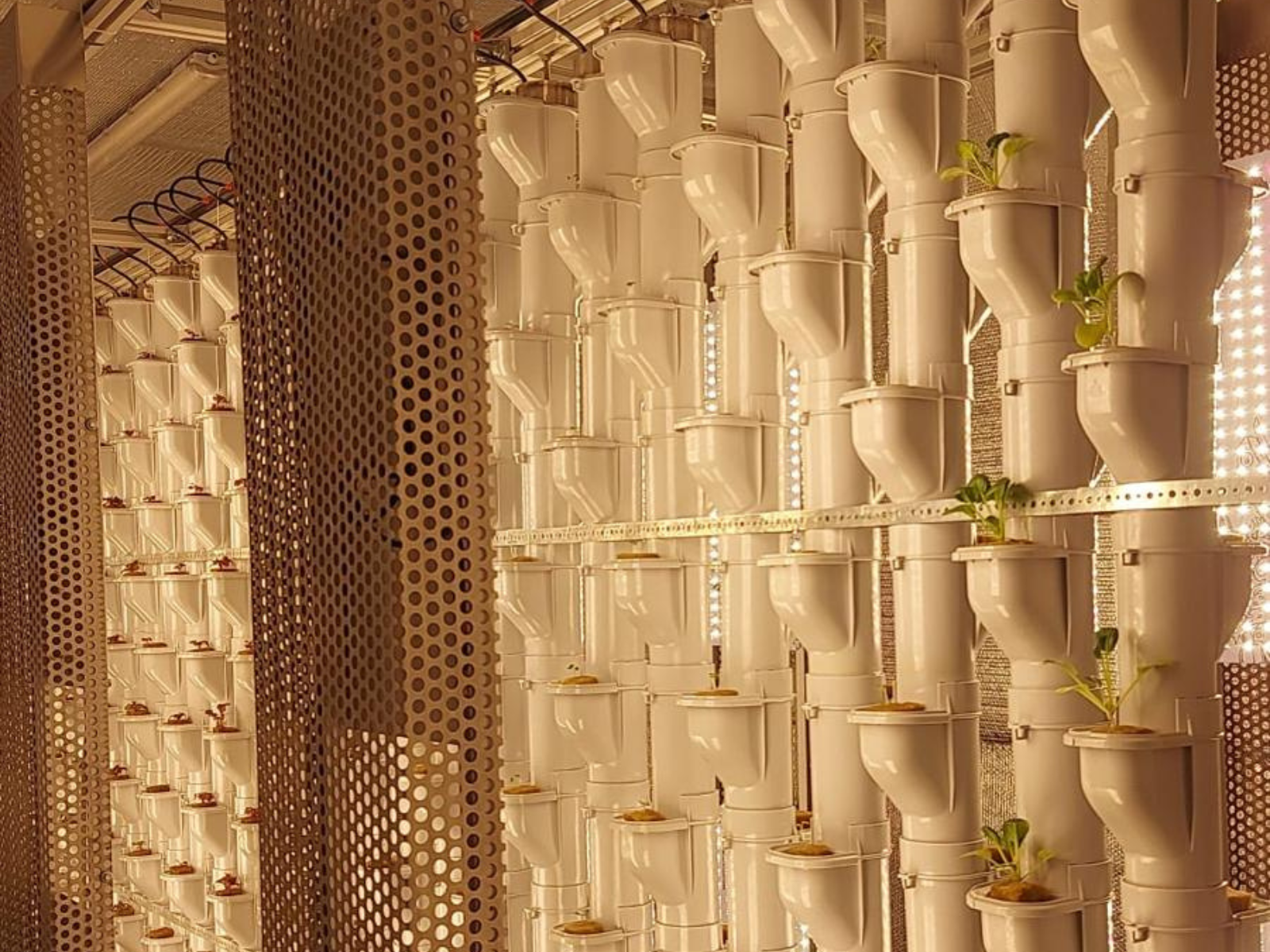 Vertical Farming System Growpipes