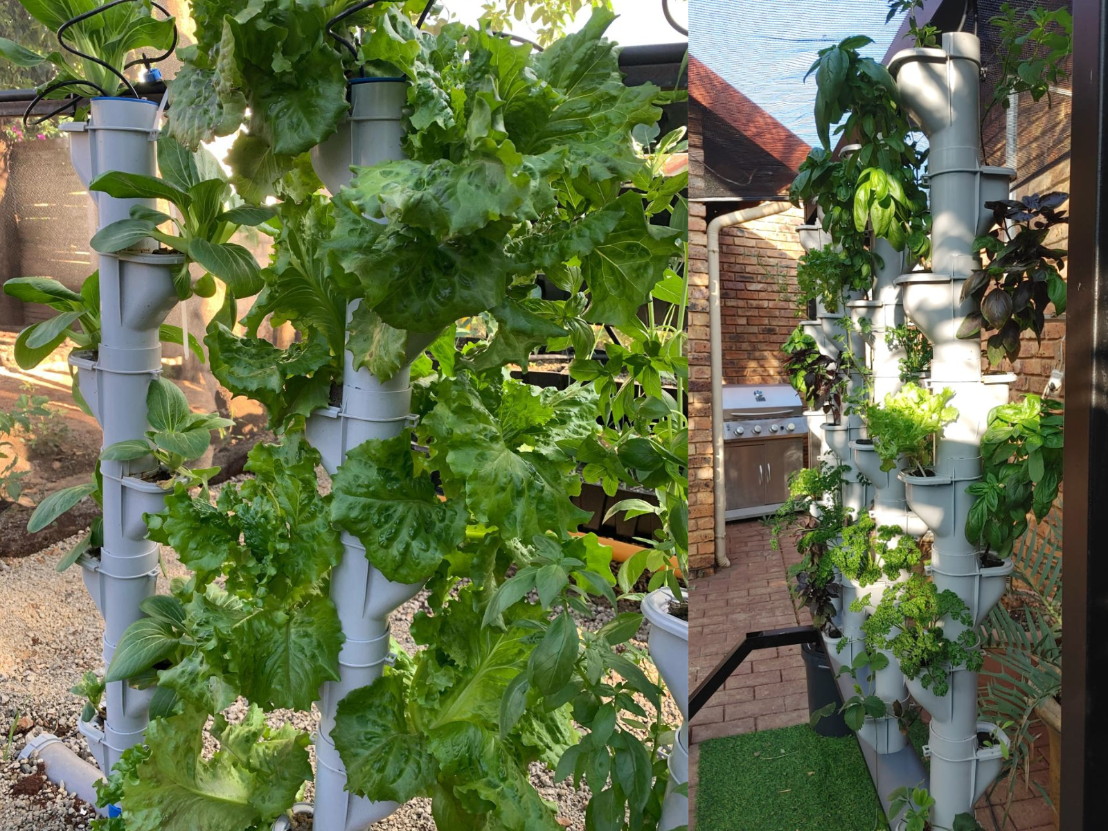 Vertical farming at home