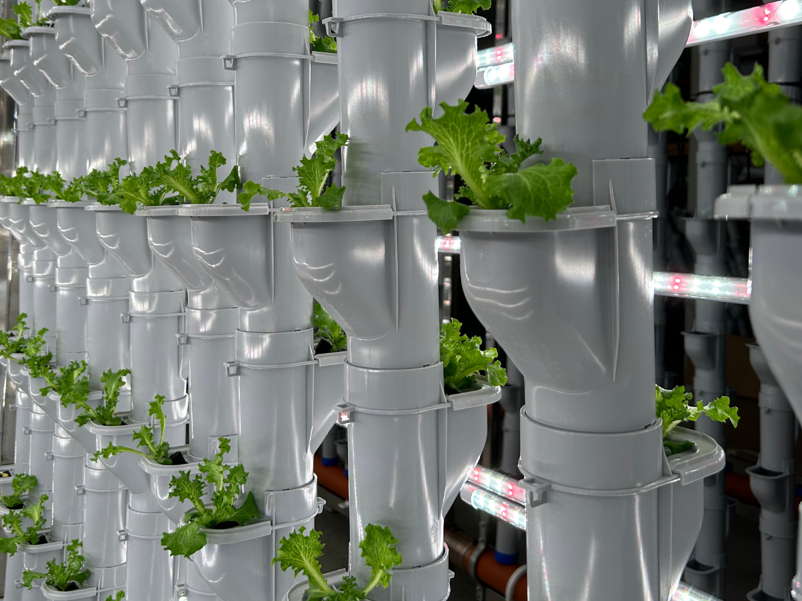 Vertical Farming System Growpipes